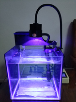 H brand seawater coral lamp sea tank lamp algae tank lamp fill light