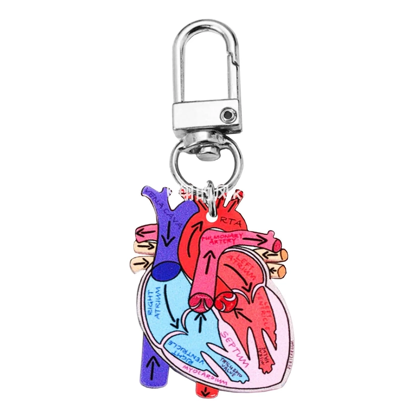 Doctor and Nurse Day Small Gift Keychain Pendant Heart Diagram DIY Acrylic Cutting Color Printing Doctor and Nurse Day Small Gift Keychain Pendant Heart Diagram DIY Acrylic Cutting Color Printing