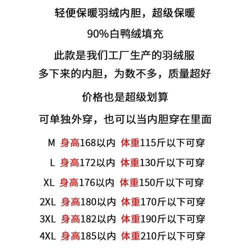 Пуховик, вкладыш с пухом, удерживающая тепло куртка, для среднего возраста
