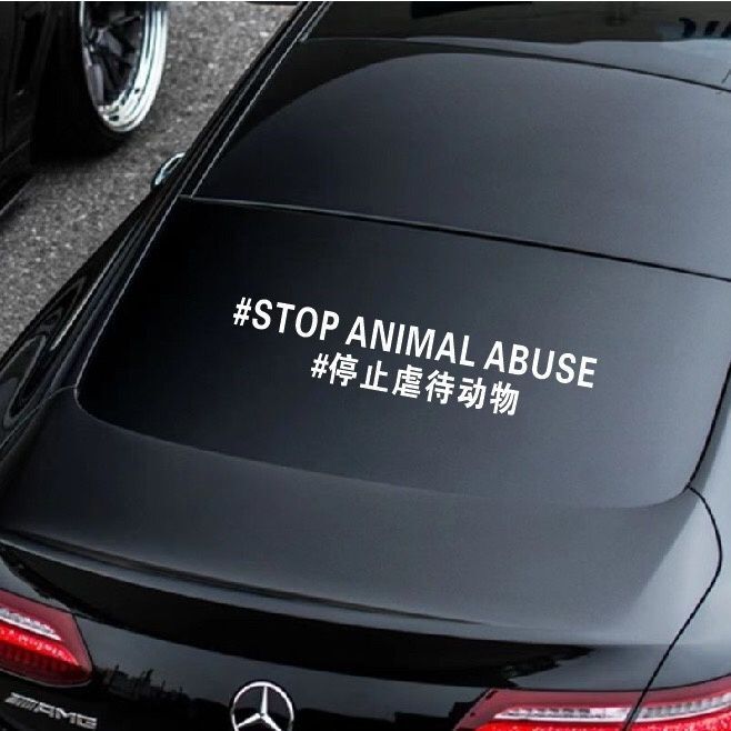 Please Speak up for Cats and Dogs, Stop Animal Abuse, Car Stickers, Treat Every Life with Kindness, Waterproof and Sun-Resistant Stickers