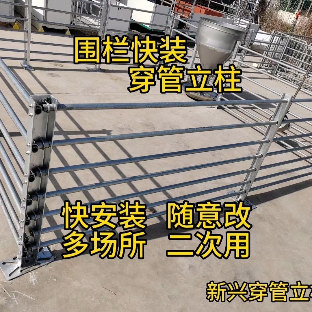 如何选择猪羊场快装立柱穿立柱大栏猪圈羊圈牛工地家用猪用围栏栏门一整套？-猪栏猪笼-淘宝百科网