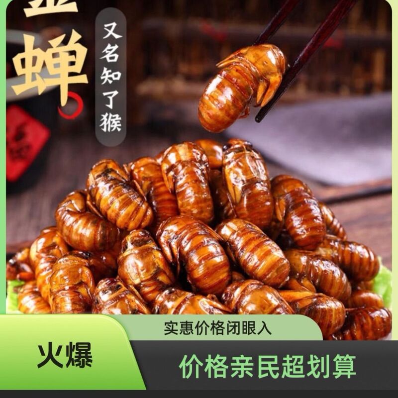 2025 Fresh Wild Golden Cicadas 50 Pieces 100 Pieces 150 Pieces 200 Pieces