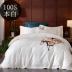 100/60 chăn bao gồm một mảnh rắn bông chăn đơn đôi thời trang đơn giản - Quilt Covers chăn ga gối everon 2020 Quilt Covers