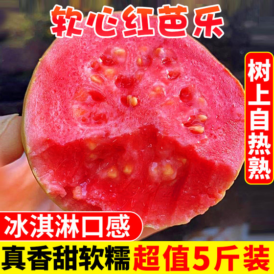 Guangxi soft glutinous red heart guava 5Jin [Jin is equal to 0.5 kg] fresh fruit guava crisp sweet soft glutinous carmine red guava FCL 3