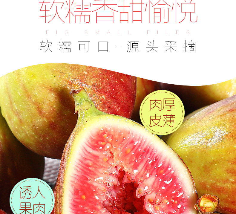 Фрукты Fig_03.jpg