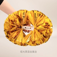 Фонды профессионального соревнований