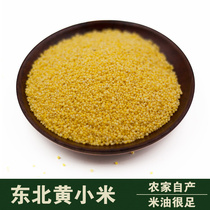 Northeast yellow millet small yellow rice autumn harvest new rice confinement baby cooking porridge millet grains 500g