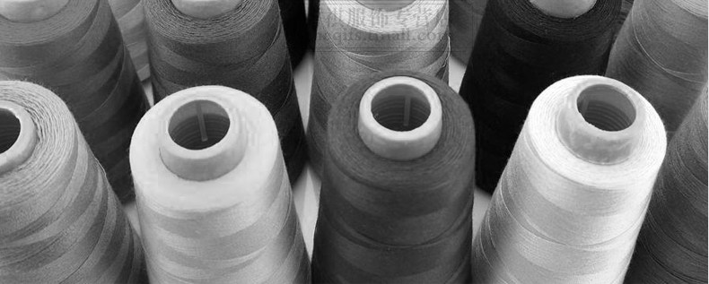 Chaussettes - collants PIERRE CARDIN PC220001 - Ref 756028 Image 21