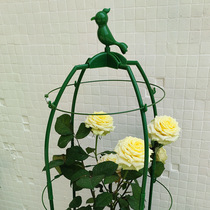 Potted Moon Season Iron Wire Lotus Racks Jasmine Patio Flowers Plant Climbing vines Euro month bracket Size height adjustable