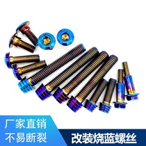 Motorcycle Electric Abalone modified screw pump caliper brake disc burned blue stainless steel M6M8M10 non-titanium alloy