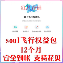 soul flight equity package soul privilege my meet equity package 12 months recharge extreme speed to account