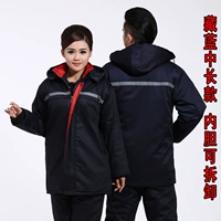 Тибетская синяя (живая лапша)