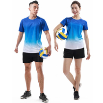 Volleyball suit suit Team uniform Female group buy student match training suit Male badminton sportswear custom printed jersey