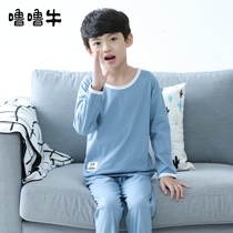 Childrens pajamas thin long sleeve cotton spring and autumn boy 12-15 years old autumn cotton boy home clothing summer