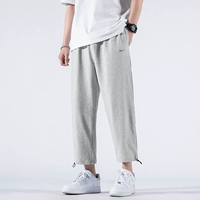 Серый шнурок [Летняя тонкая секция-девять точек] 0216