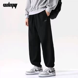 Спортивные демисезонные штаны для отдыха, на шнурках, оверсайз, свободный прямой крой