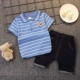 Xia Polo Tattoo Bear Blue