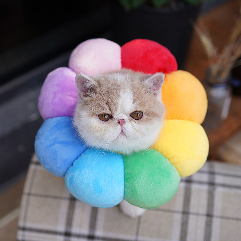 Sunflower Cat Elizabeth Circle Dog Head Soft Clothes around the neck of Sunflower Sterilization Antilicking Bite Moss