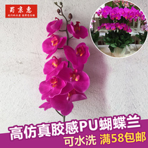 High-end PU feel simulation flower PU butterfly orchid Huilan single branch home living room floor decoration decoration wedding leave