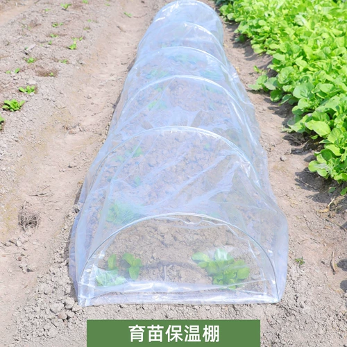 На открытом воздухе цветочный сара