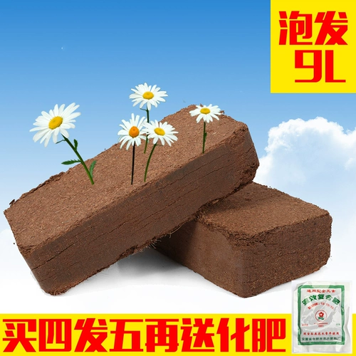 Сочные органические почвенные домашние животные Coconut Coconat Plaintive Кокосовая порошковая кирпичная орхидея кокосовая почва кокосовая кирпичная стерильная почва