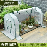 Сочный зимний термос комната цветочные комнаты затенение цветочной тепловой комната тепличная садовая садовая цветочные сараи в теплице