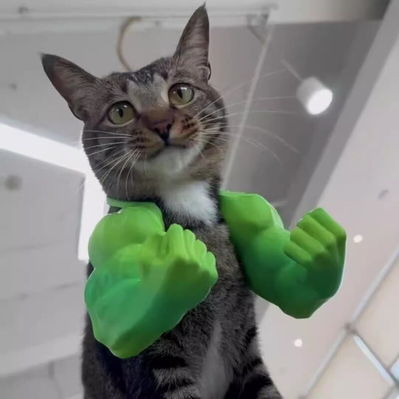 3D Printed Cat Muscle Arm Prop, Cat's Hulk Arm, Hanging Neck Prank Toy, Pet Photography Prop 3D Printed Cat Muscle Arm Prop, Cat's Hulk Arm, Hanging Neck Prank Toy, Pet Photography Prop