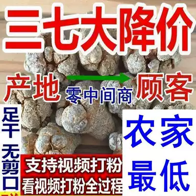 Yunnan Wenshanchun Sanqi Premium 20 heads 30 heads 60 heads 40 heads Tianqi non-wild ground ultrafine powder 500g