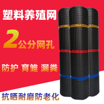 2 cm plastic mesh breeding fence Isolation fence protection chicken hole brood leakage fecal grille vegetable field net