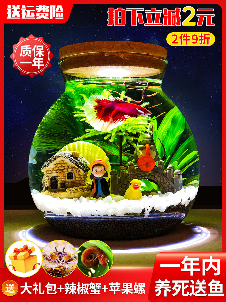 Ecological bottle micro-landscape aquarium landscaping bucket fish tank creative tank office desk desk living room ornamental glass tank