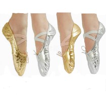 Professional factory for bright face cats paw shoes show soft shoes sequin double heart shoes (silver light gold)