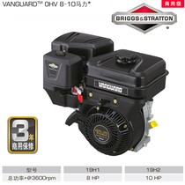 Original American Bailitong Gasoline Engine 10 horsepower 306CC electric start commercial type