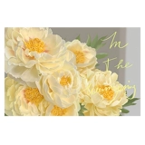 Северный кремовый ветровый стежок 2024 Новая вышитая линия гостиной.