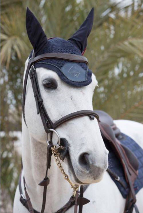 British LeMieux horse earmuffs