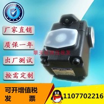 HENGYI VQ45-136 156189216237-F-RAB-01 02 vane pump