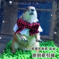 Original handmade lace collar chest back chest safety leash squirrel black tailed marmot leash fancy