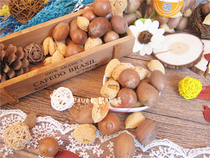 (Rat and you) mixed squirrel rat food package hard nut molars nutrition comprehensive rat food package staple food