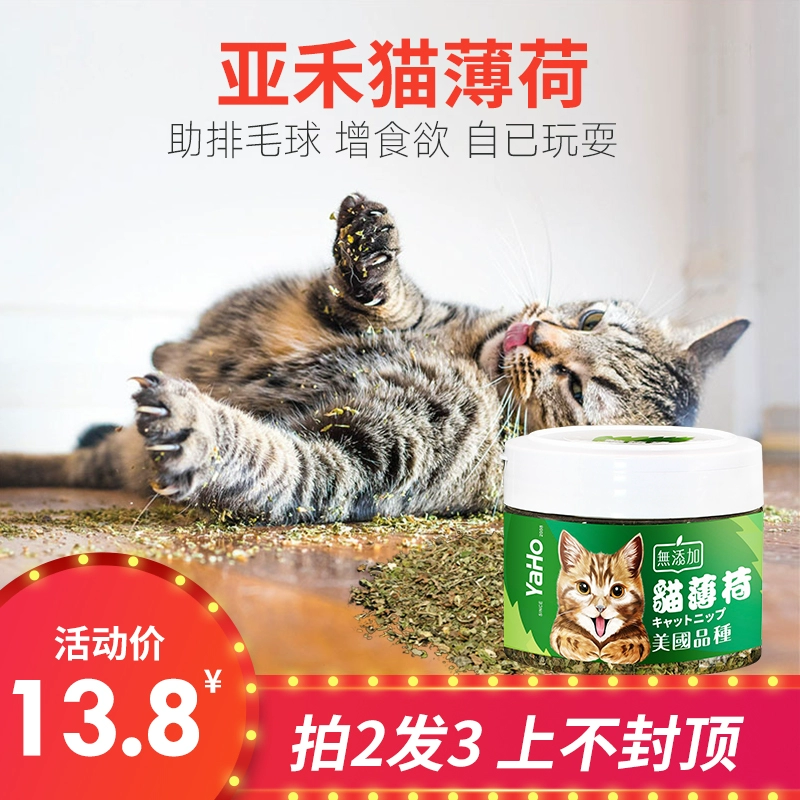 Yahe cỏ mèo catnip nguyên miếng bột bạc hà lá bohe để loại bỏ bóng lông làm sạch miệng và đồ ăn nhẹ cho mèo - Đồ ăn nhẹ cho mèo