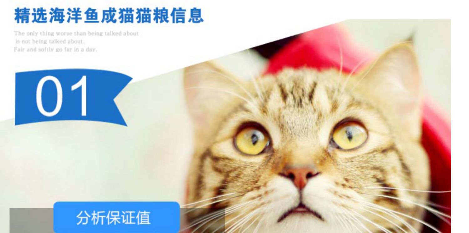 Thức ăn cho mèo Kho báu 1,5kg Cá đại dương chọn Mèo trưởng thành Mèo trưởng thành Mèo Mèo Tổng quát Thức ăn cho mèo 3 kg - Cat Staples làm thức ăn cho mèo