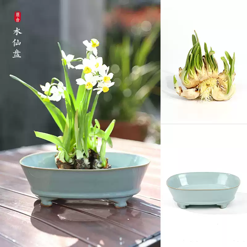 汝窯水仙盆陶瓷花器雕刻中式插花器皿水仙專用仿古陶瓷盆