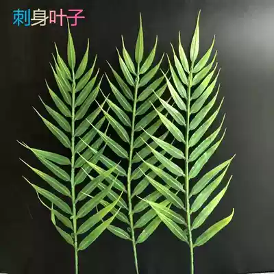 Sashimi leaves, decorative flowers, bamboo leaves, hotel Japanese cuisine, sushi accessories, pan dishes, embellishment, cold cuts