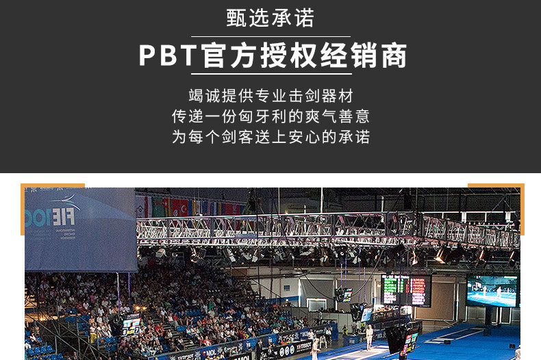 Электрический меч бар-пуганг dyn-stm_03.jpg