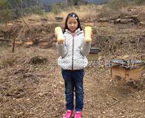 Honey is pure and natural. Authentic native honey is produced by farmers. Wild flower source honey is crystalline sweet osmanthus honey.