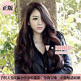 Accessoires pour perruques - Ref 227512 Image 4