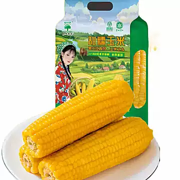 辰旭稼禾！3小时极速锁鲜东北黄糯玉米10支