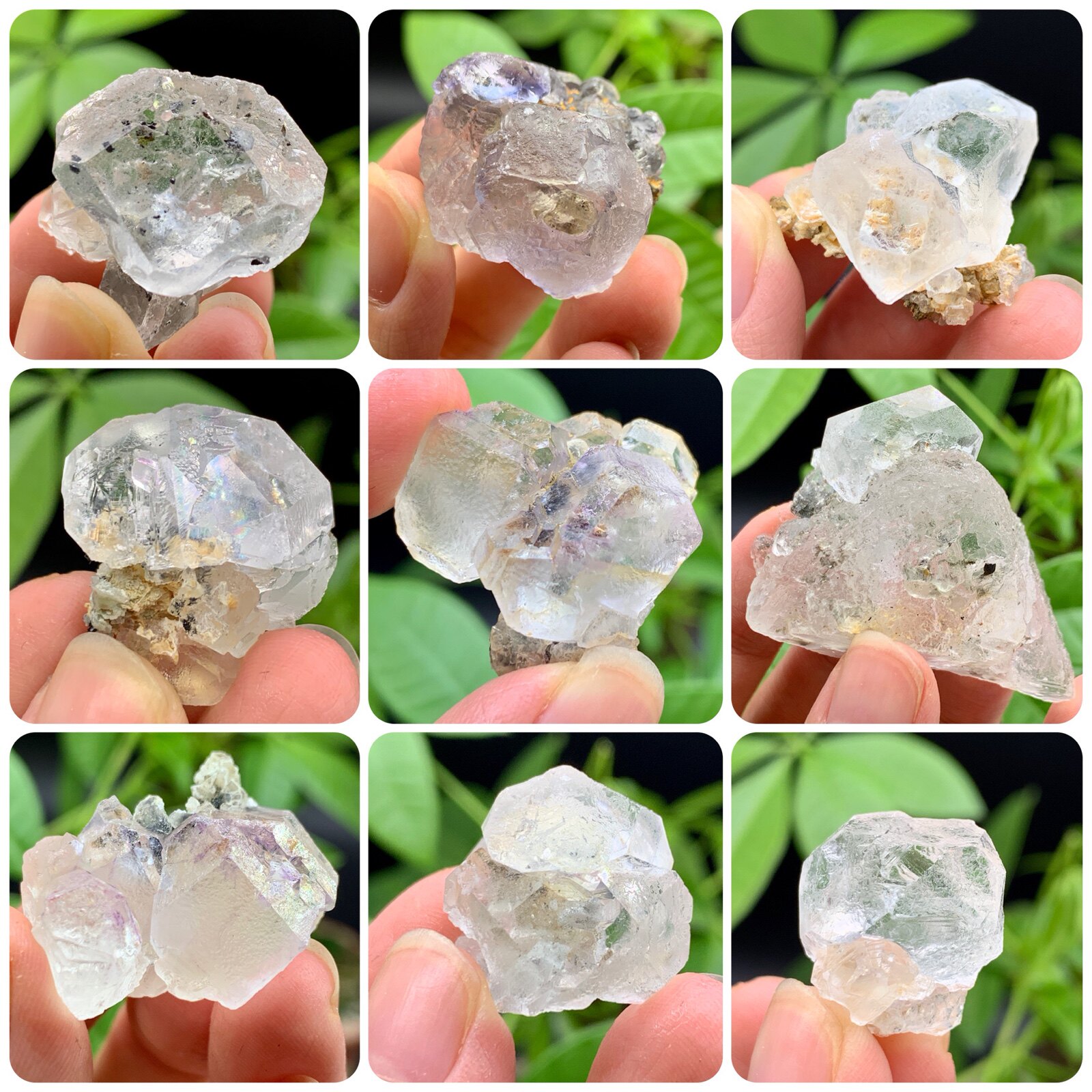 Inner Mongolia white fluorite natural mineral crystal cat mine ornament specimen collection geological teaching science