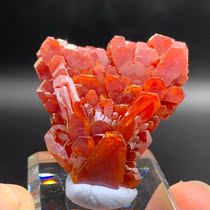 Dream meet mineral crystal Moroccan rabbit vanadium lead mine moulding good natural raw stone teaching Kop specimen cat mine
