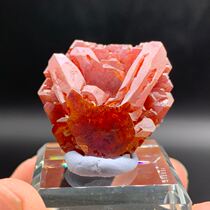 Dream meet mineral crystal Moroccan rabbit vanadium lead mine moulding good natural raw stone teaching Kop specimen cat mine