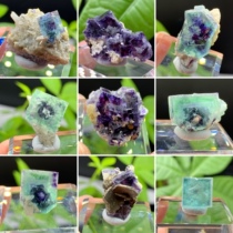 Inner Mongolia fluorite crystal Mica magnetite natural mineral crystal specimen Cat mine geology teaching science