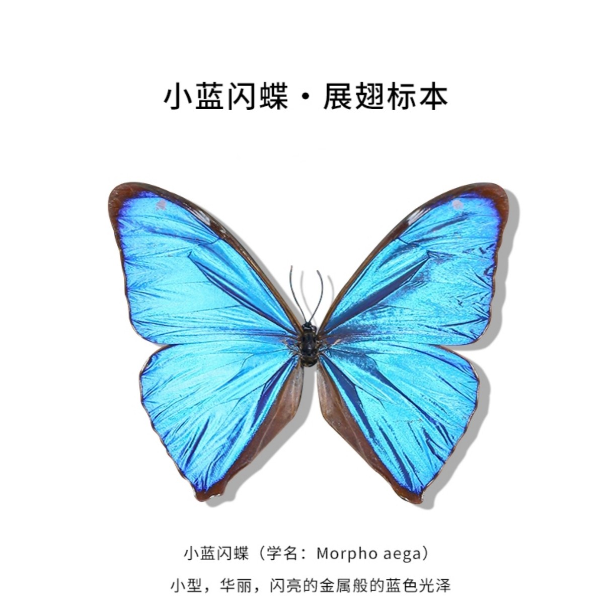 O1CN01gVlEsA1qyp6QPuQ4p_!!